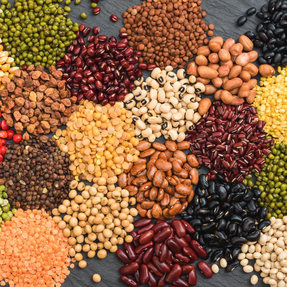 Pulses and Lentils